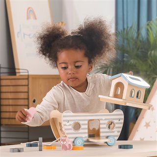 Noah's Ark Shape Sorter